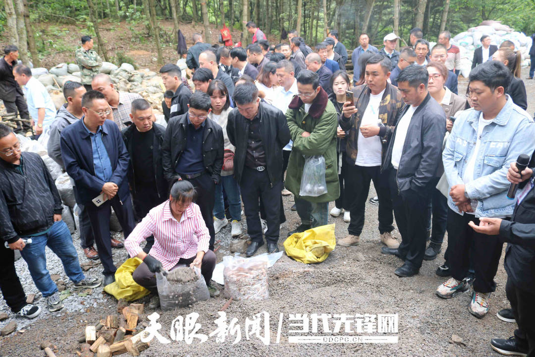 七星关区野角乡：“一引十联百竞”促万亩遍“野”