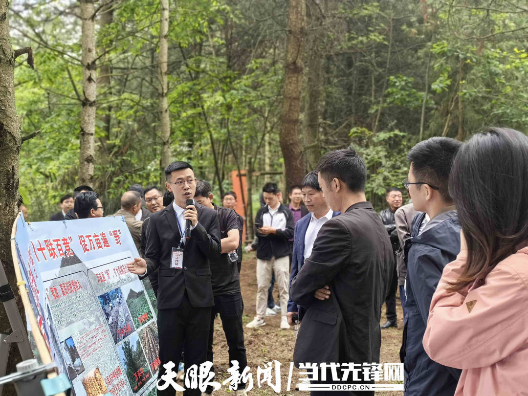 七星关区野角乡：“一引十联百竞”促万亩遍“野”