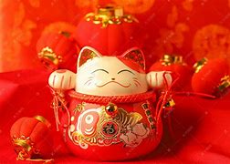 财猫理财(财猫网的钱怎么要回)