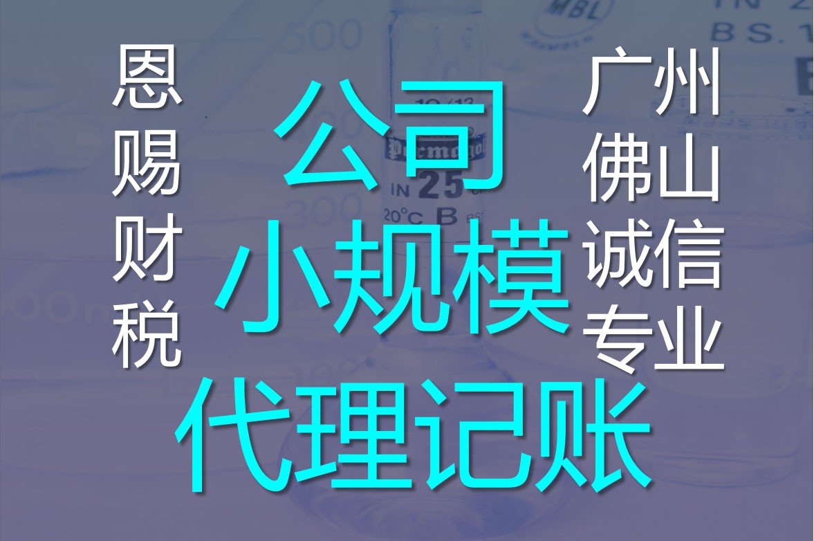 代理财务(代理财务公司工作内容)