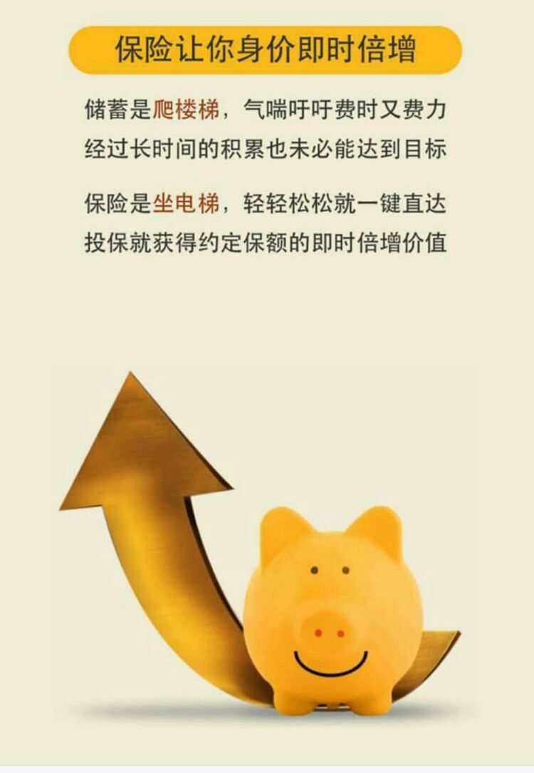 理财最好的(理财最好的软件)