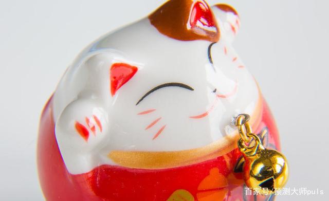 理财猫理财(理财猫是不是p2p)