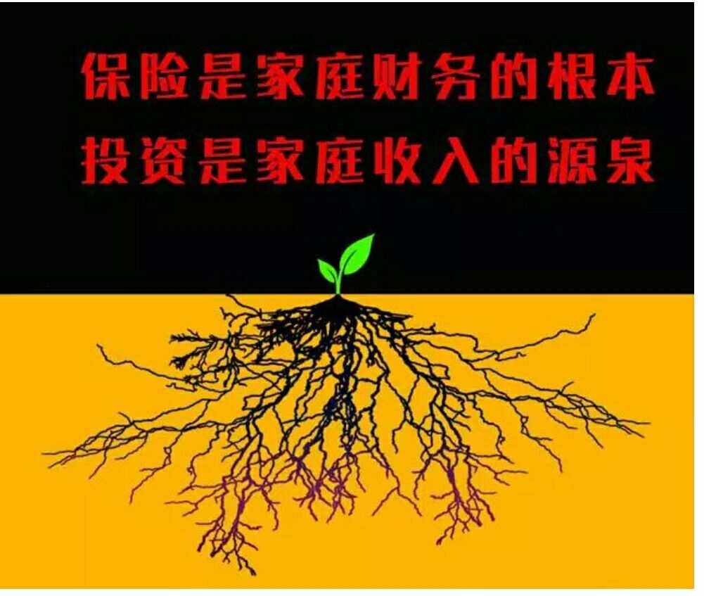 保险是理财吗(理财型保险有风险吗)