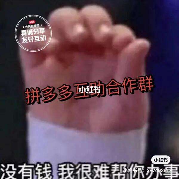 的理财群(理财群叫什么名字)